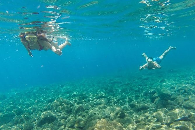 Catamaran Day Cruise to Desertas Islands from Funchal - Landing on a dry, protected island