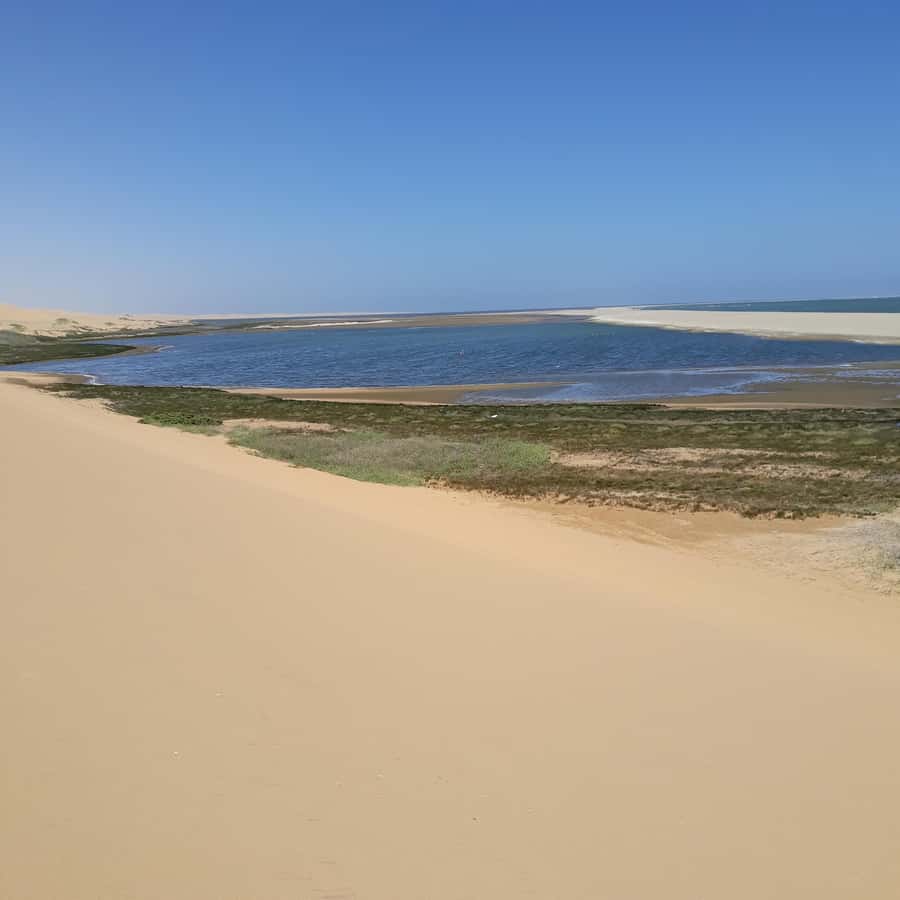 Catamaran Dolphin Cruise and Sandwich Harbour Tour - How the guides shape the day