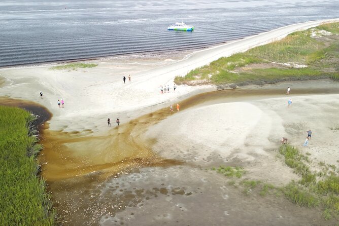 Catamaran Dolphin Cruise in Myrtle Beach with Barrier Island Stop - Waties Island keeps the coast undeveloped