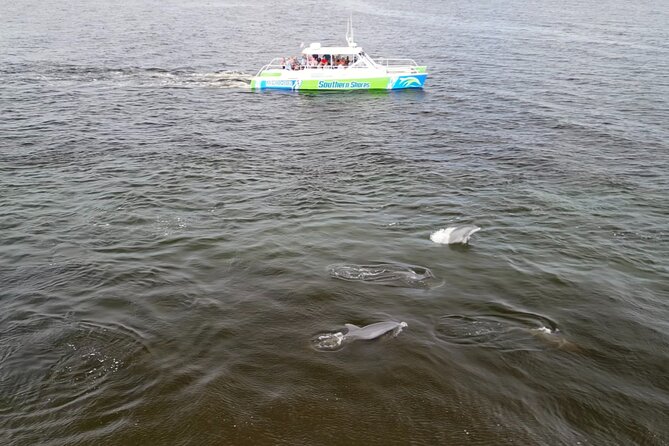 Catamaran Dolphin Cruise in Myrtle Beach with Barrier Island Stop - Drinks, timing, and what to bring