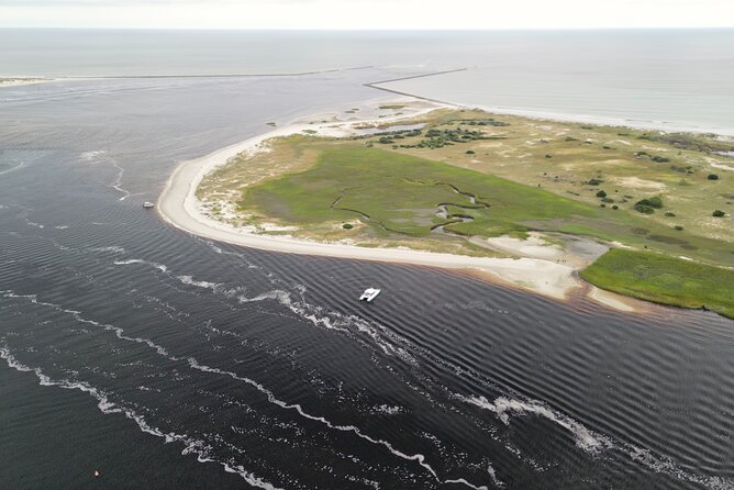 Catamaran Dolphin Cruise in Myrtle Beach with Barrier Island Stop - Is $39.96 a fair price?