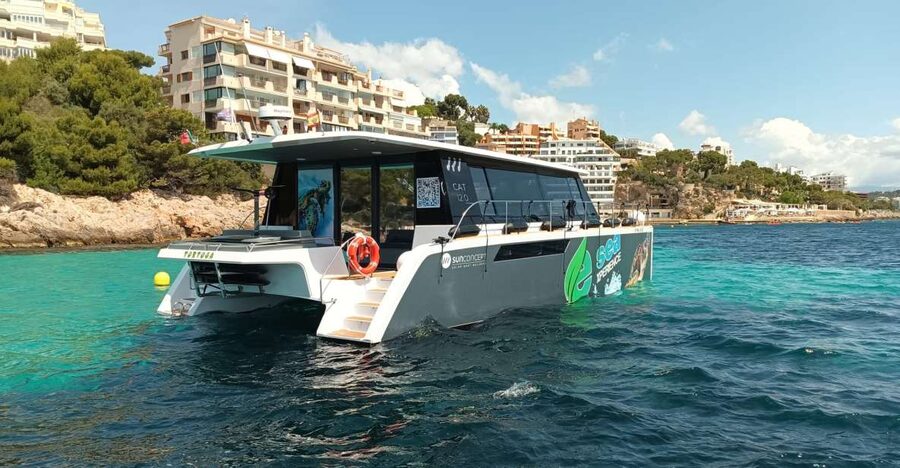 CATAMARAN ECO EXPERIENCE at Palma Bay - What the private format is worth