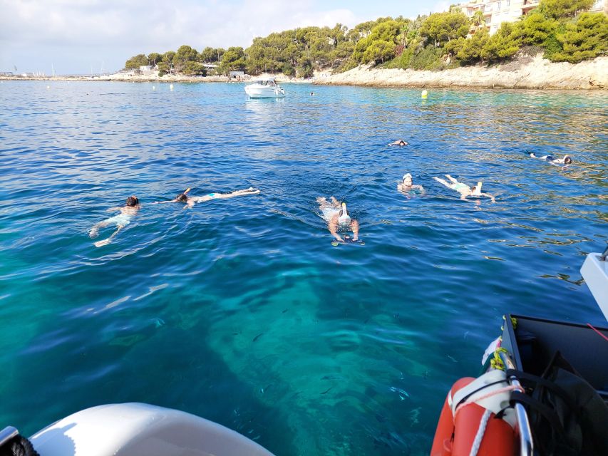 CATAMARAN ECO EXPERIENCE at Palma Bay - Should you book this Palma Bay trip?