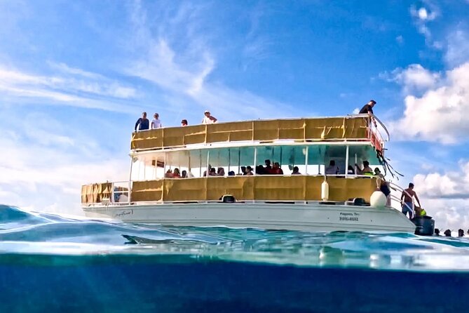Catamaran Excursion + Open bar + Snorkeling at El Cielo - El Cielo and its famous sea stars