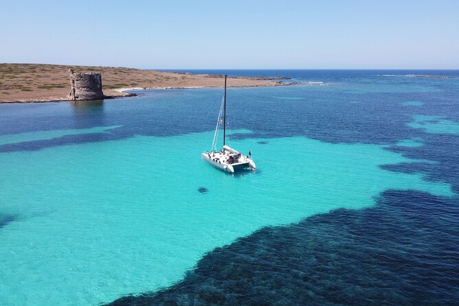 Catamaran excursions in the Asinara island National park - Why this catamaran trip works so well around Asinara