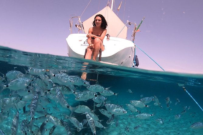 Catamaran excursions in the Asinara island National park - Weather, cancellations, and what to bring