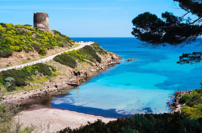 Catamaran excursions in the Asinara island National park - A shore visit with prison history and rescued animals