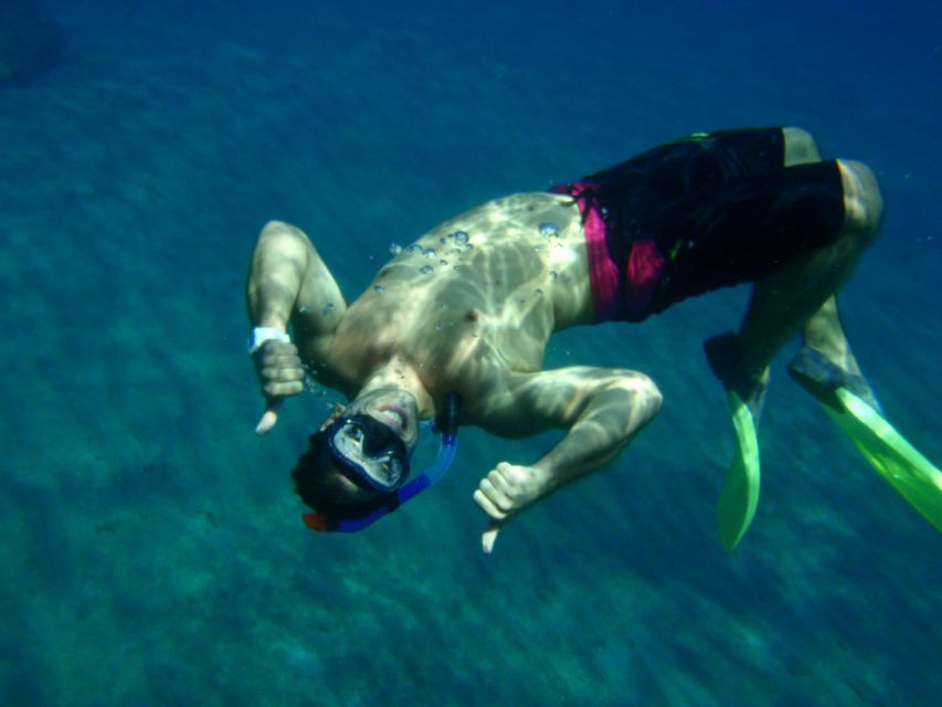 Catamaran Full Day Cruise - Key things to know before sailing
