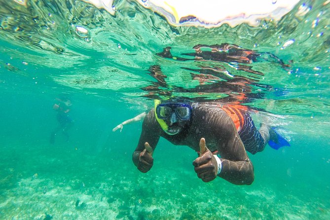 Catamaran Group Sightseeing, Snorkeling Tour Isla Mujeres - Snorkeling near El Meco and the underwater sculptures