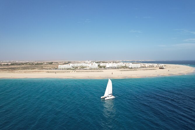 Catamaran Half Day - Beautiful day on the Atlantic Ocean - Wildlife watching on the Atlantic