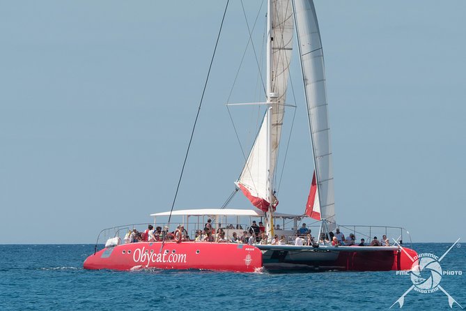 Catamaran Half-Day Cruise from Caleta de Fuste - Swimming and Snorkeling from the Catamaran