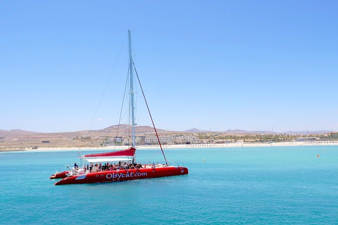Catamaran Half-Day Cruise from Caleta de Fuste - Is the $80.86 Price Good Value?