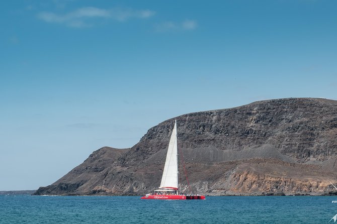Catamaran Half-Day Cruise from Caleta de Fuste - Sailing Toward Pozo Negro Bay
