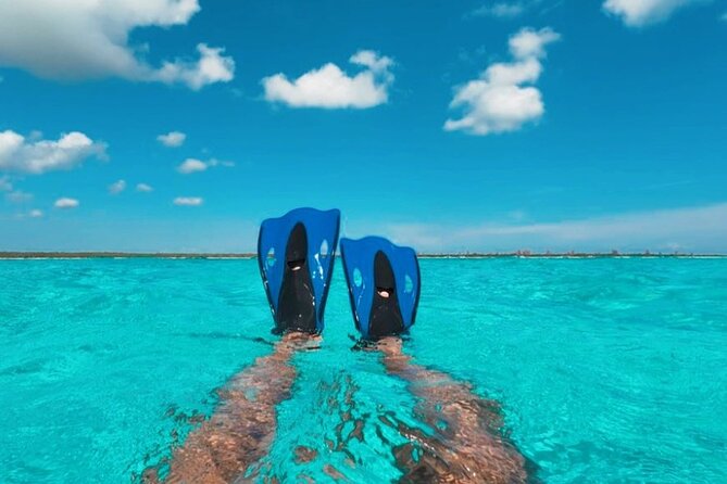 Catamaran in Cozumel with snorkeling at El Cielo and open Bar - Is $38.50 a good deal?