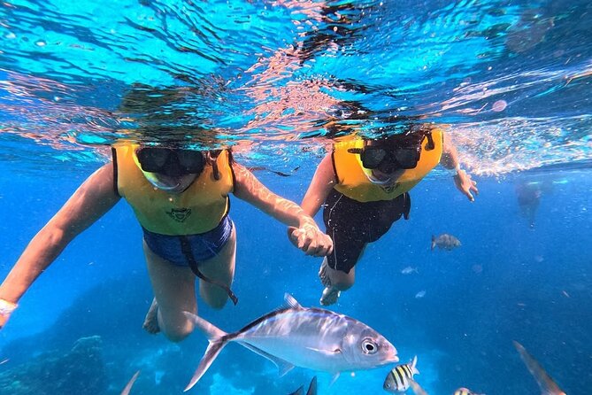 Catamaran in Cozumel with snorkeling at El Cielo and open Bar - The reliability questions you should take seriously