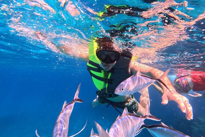 Catamaran in Cozumel with snorkeling at El Cielo and open Bar - What the double-deck catamaran adds