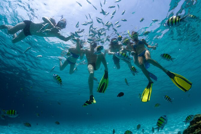 Catamaran Isla Mujeres Tour with Hotel Pick Up included - Timing, transfers, and the risk of a very long day