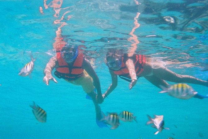 Catamaran Isla Mujeres Tour with Hotel Pick Up included - Snorkeling among fish and coral formations