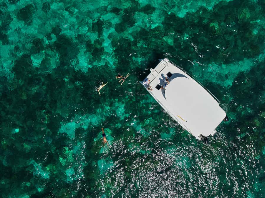 Catamaran Mauritius: South East 5 Islands Catamaran Cruises - Dolphin and tortoise watching is a bonus, not a promise