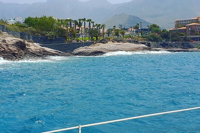 CATAMARAN OCEAN CRUISE TOUR, Food & Drinks included! - Leaving Puerto Colón for open-water whale watching