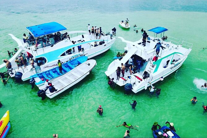 Catamaran party in Punta Cana with open bar, music and more - Cancellation and booking timing