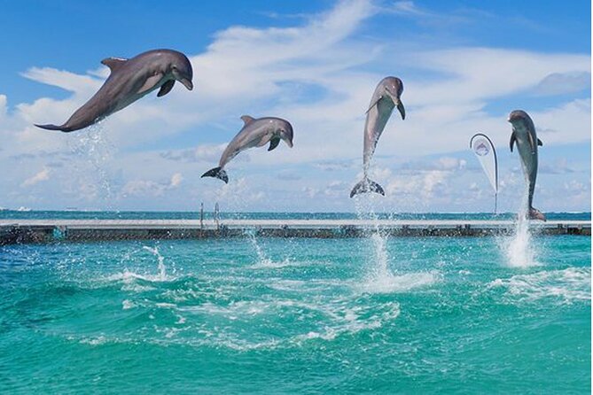 Catamaran Party in Punta Cana with Unlimited Drinks - Is $59 a fair price?