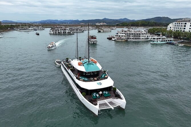 Catamaran Premium Cruise to Halong Bay & Lan Ha Bay in 1 Day Tour - Why this one-day catamaran makes sense