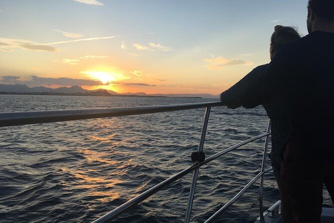 Catamaran ride at sunset from the Port of Denia - Booking timing, cancellations, and practical value