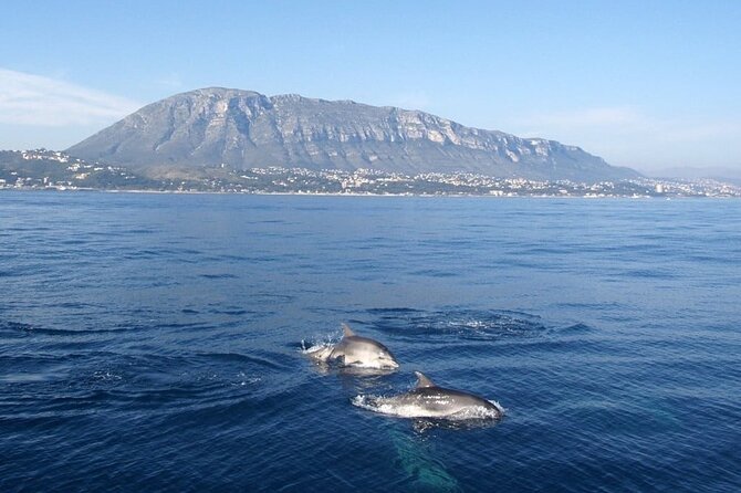 Catamaran ride with aperitif and white wine from Denia - A short cruise with a strong coastal payoff
