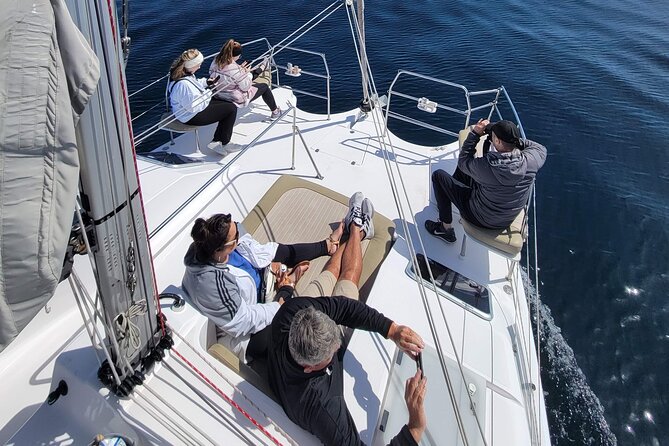 Catamaran Sailing Cruise in Monterey - Key points to know before you book