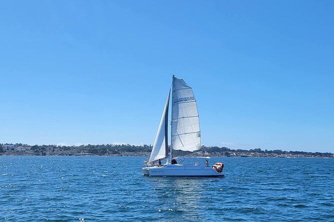 Catamaran Sailing Cruise in Monterey - Who will enjoy this cruise most?