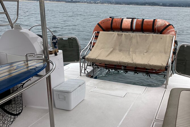 Catamaran Sailing Cruise in Monterey Bay - Wildlife Watching on the Open Bay