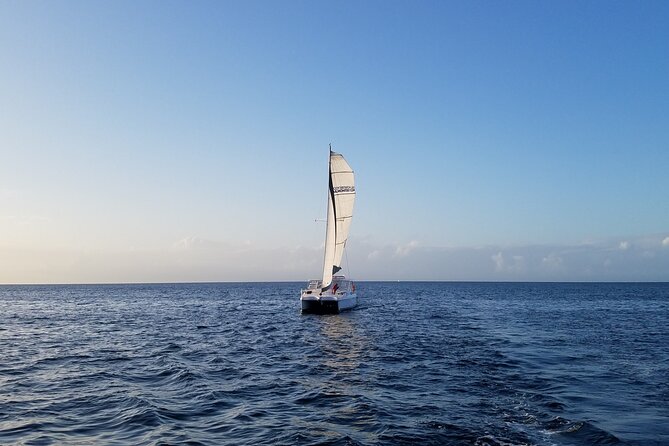 Catamaran Sailing Cruise in Monterey - The crew makes a real difference