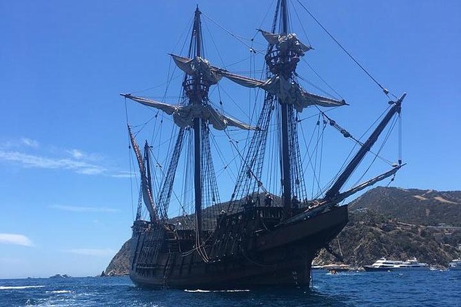 Catamaran Sailing Cruise on San Diego Bay for up to 6 Guests - The captains shape the mood