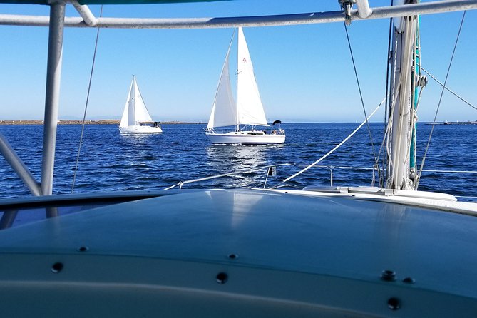 Catamaran Sailing Cruise on San Diego Bay for up to 6 Guests - Weather, cancellations, and planning risks