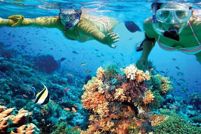 Catamaran Sailing to Isla Mujeres with Snorkeling, Lunch & Open Bar included - Should you book the Isla Mujeres catamaran?