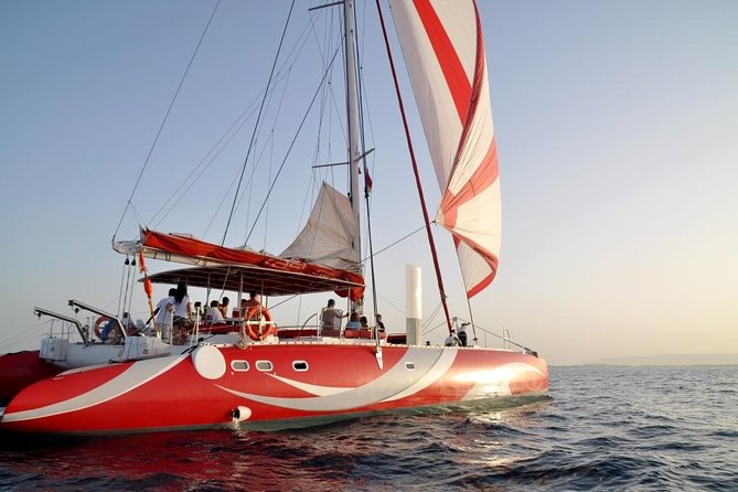 Catamaran Sailing Tour - Key points to know before you book