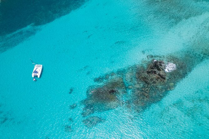 Catamaran Sailing Tour or Whale Watching at Boa Vista - Key points to know before sailing