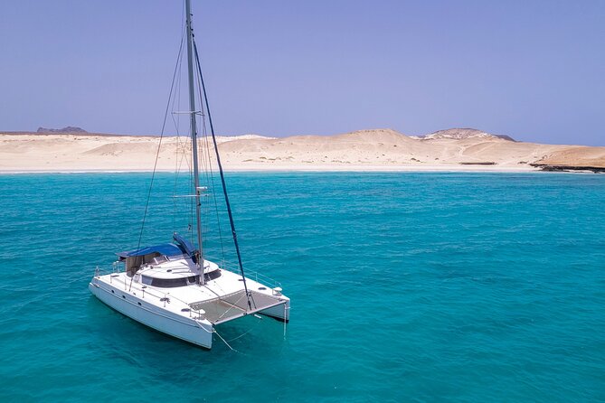 Catamaran Sailing Tour or Whale Watching at Boa Vista - Who will enjoy this boat trip most