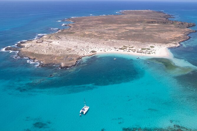 Catamaran Sailing Tour or Whale Watching at Boa Vista - Summer at Djeu Island: snorkeling, a wreck, and time to pause