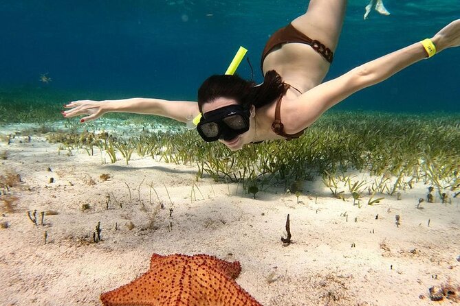 Catamaran Sky Tour in Cozumel - Playa El Cielo and its shallow starfish waters