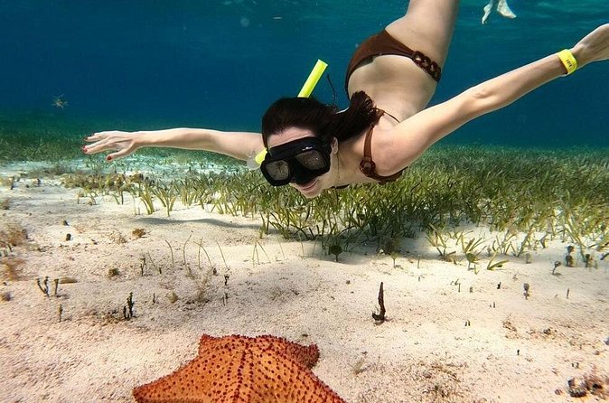 Catamaran Sky Tour in Cozumel - Beer, daisies, music, and the value of the price