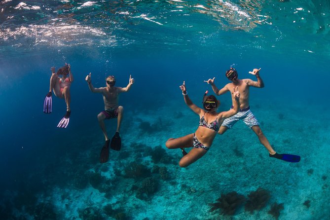 Catamaran Snorkel & BBQ Sail (cruise friendly) - What the $135 price really buys you