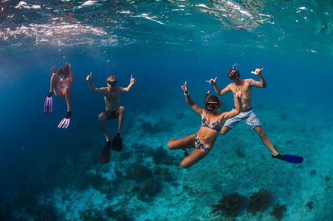 Catamaran Snorkel & BBQ Sail (cruise friendly) - The practical details that matter