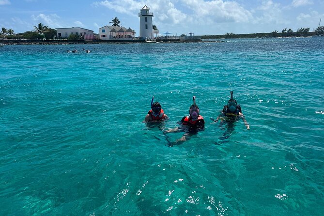 Catamaran Snorkel & Beach Day with Turtles - Nassau Harbor, with a local look at the city