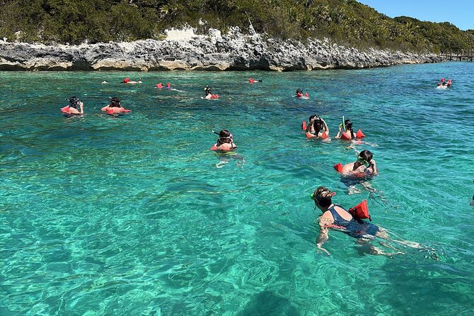 Catamaran Snorkel & Beach Day with Turtles - Green Cay Sanctuary and the turtle stop
