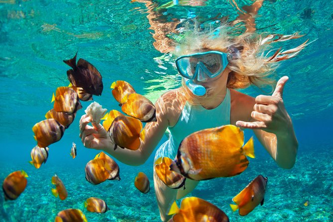 Catamaran Snorkeling All-Inclusive Day-Trip - What your $84 buys on the north coast
