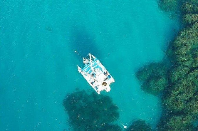 Catamaran, snorkeling & Dunn's River Falls - Dunn’s River Falls and the one-hour climb