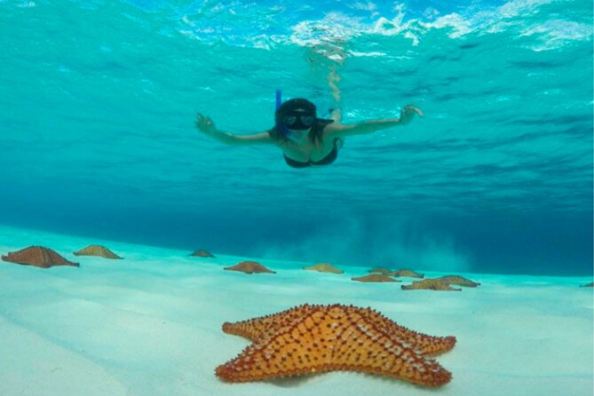 Catamaran Snorkeling to El Cielo and The Money Bar Beach Club - Sandbar time, stingrays, and ceviche