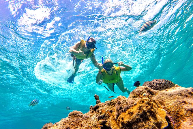 Catamaran Snorkeling to El Cielo and The Money Bar Beach Club - A boat with character, not luxury